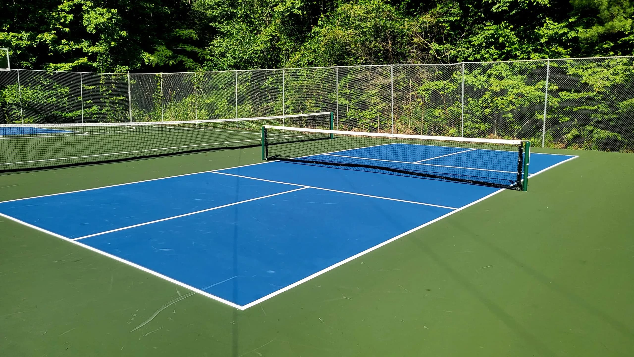An empty green pickleball court with a basketball hoop, bordered by chain-link fencing and forest.